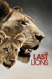 Nonton The Last Lions 2011