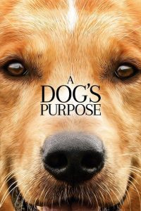 Nonton A Dog’s Purpose 2017