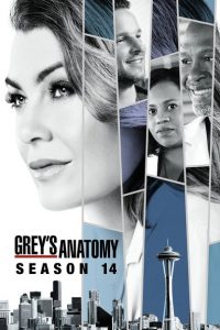 Nonton Grey’s Anatomy: Season 14