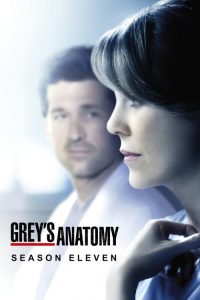 Nonton Grey’s Anatomy: Season 11