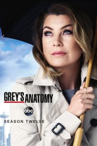 Nonton Grey’s Anatomy: Season 12