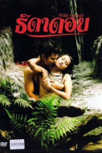 Nonton Wild Orchid 2010